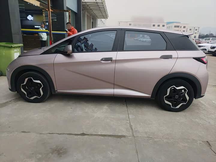 Фото 5 - BYD Dolphin