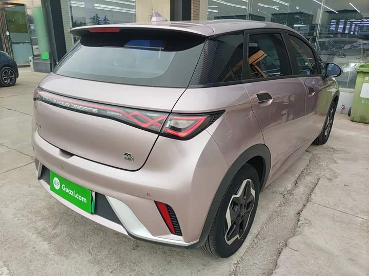 Фото 7 - BYD Dolphin