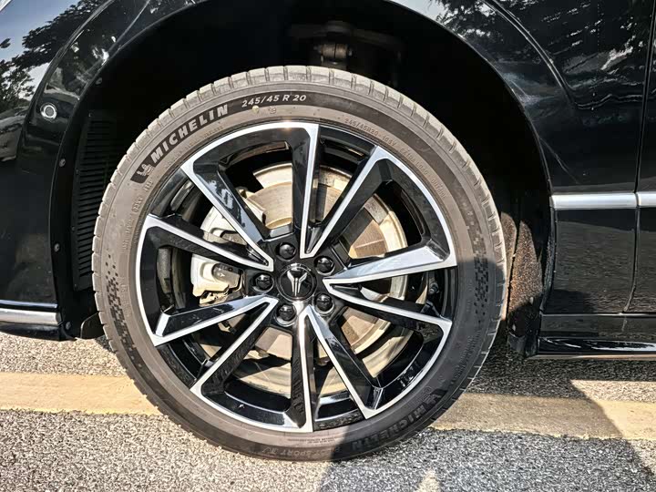 Фото 7 - Voyah Passion