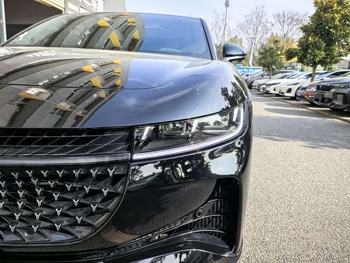 Фото 8 - Voyah Passion