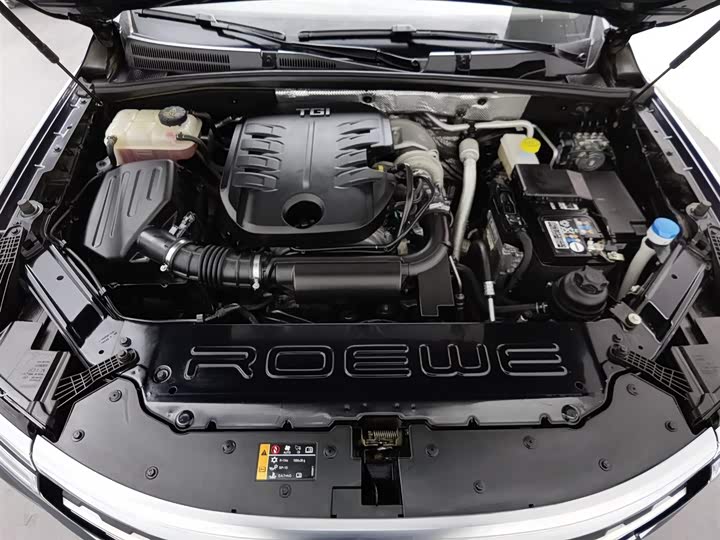 Фото 6 - Roewe RX8