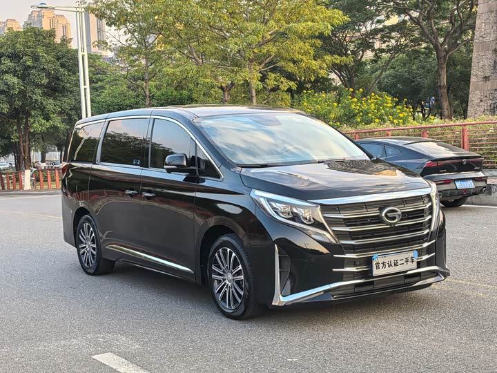 Фото 3 - GAC Trumpchi M8