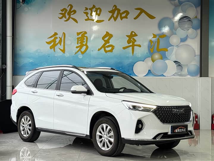 Фото 3 - Haval M6