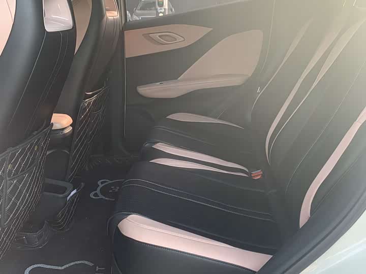 Фото 6 - BYD Seagull