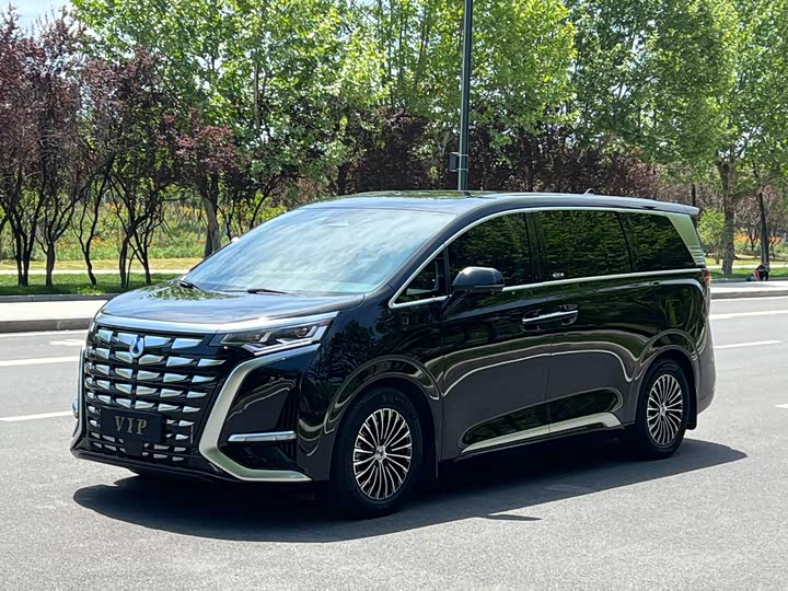 Фото 1 - Denza D9