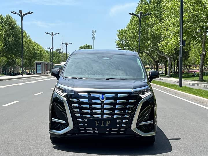 Фото 2 - Denza D9