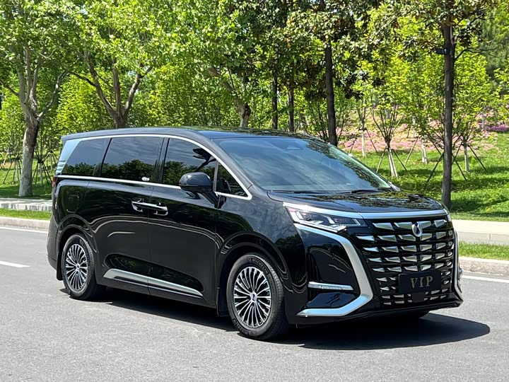 Фото 3 - Denza D9