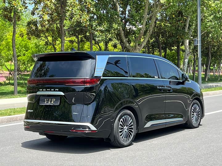 Фото 4 - Denza D9