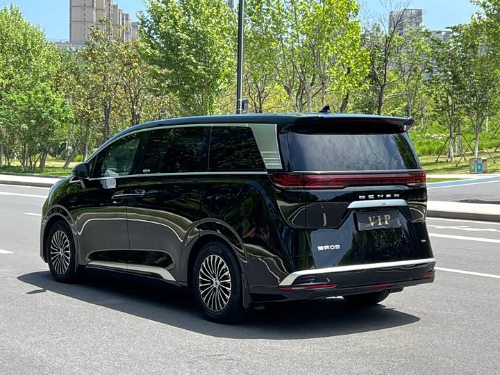 Фото 6 - Denza D9