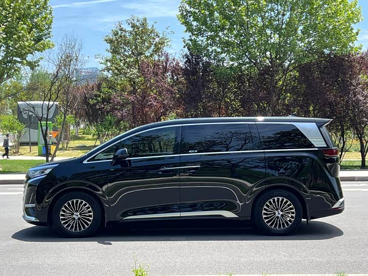 Фото 7 - Denza D9