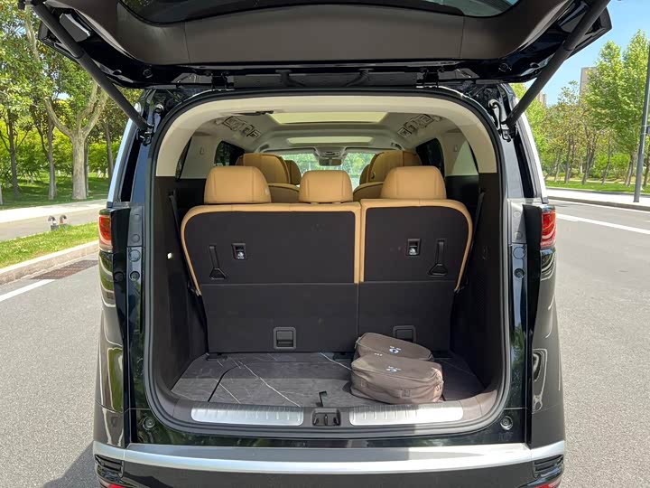 Фото 8 - Denza D9