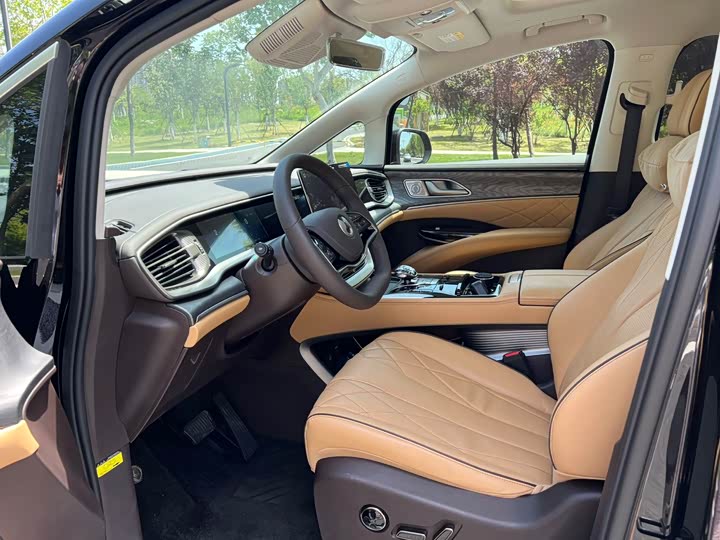 Фото 9 - Denza D9