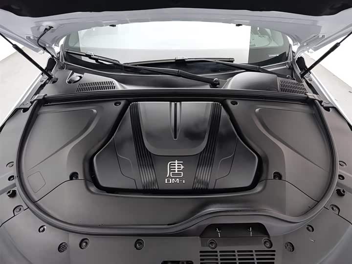 Фото 6 - BYD Tang Hybrid/EV