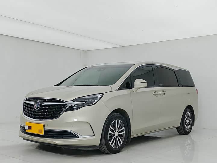 Фото 1 - Buick GL8 ES