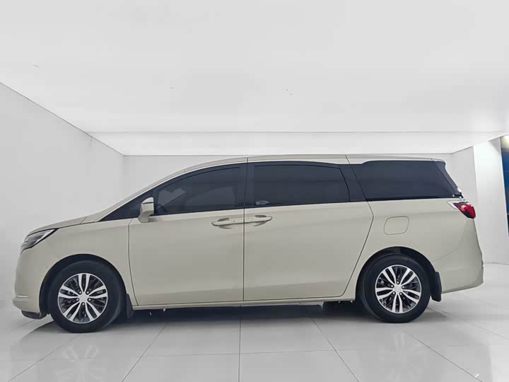 Фото 2 - Buick GL8 ES