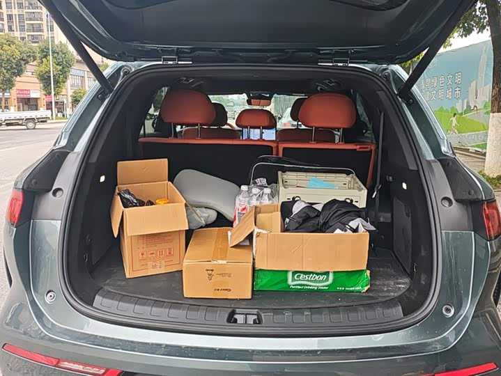 Фото 4 - BYD Tang L