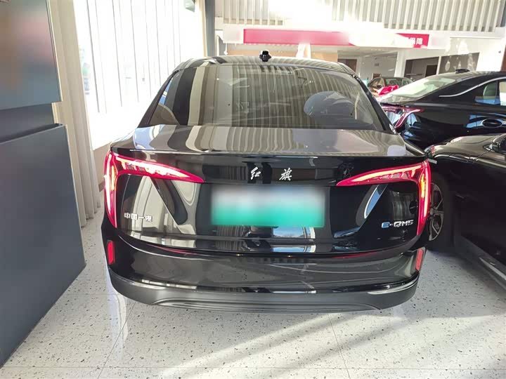 Фото 6 - Hongqi E-QM5