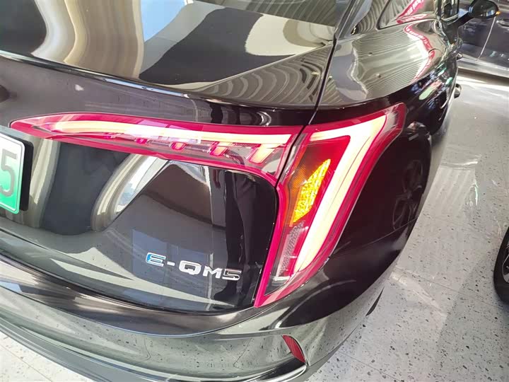 Фото 8 - Hongqi E-QM5