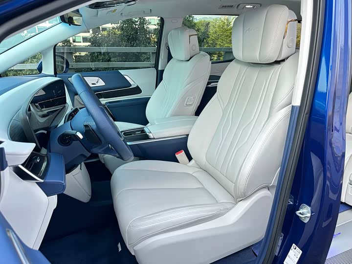 Фото 9 - Buick GL8 Century