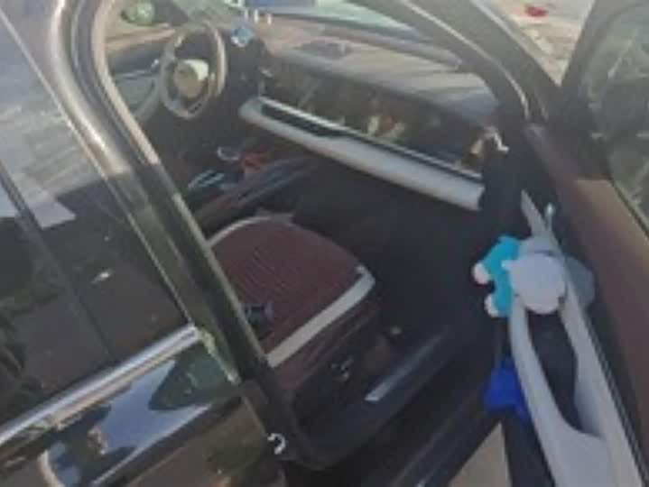 Фото 8 - Geely Monjaro