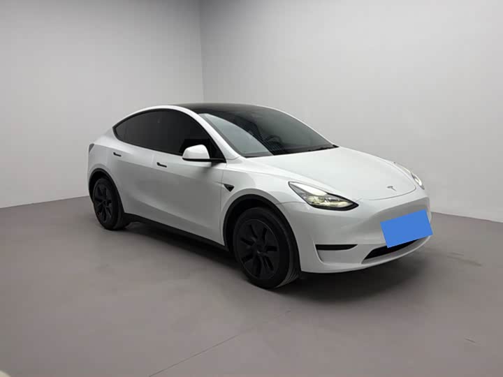 Фото 2 - Tesla Model Y