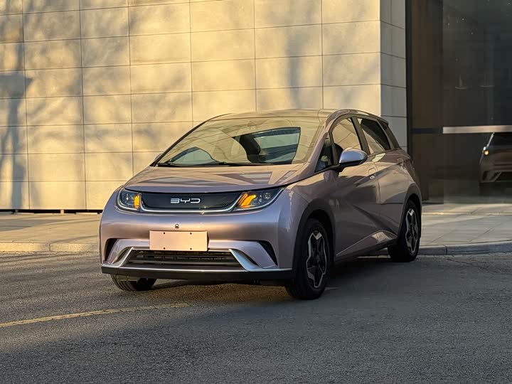 Фото 1 - BYD Dolphin