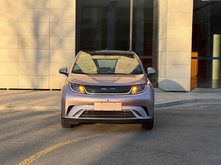 Фото 2 - BYD Dolphin