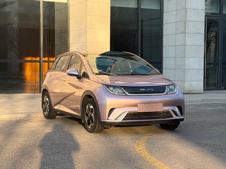 Фото 3 - BYD Dolphin