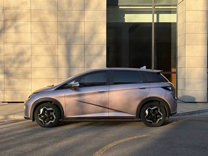 Фото 4 - BYD Dolphin