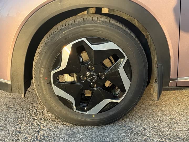 Фото 5 - BYD Dolphin