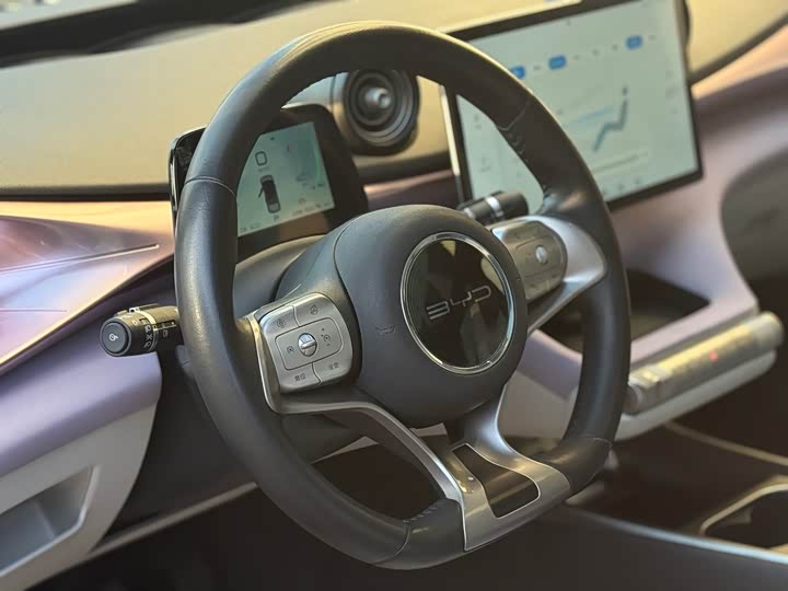 Фото 7 - BYD Dolphin