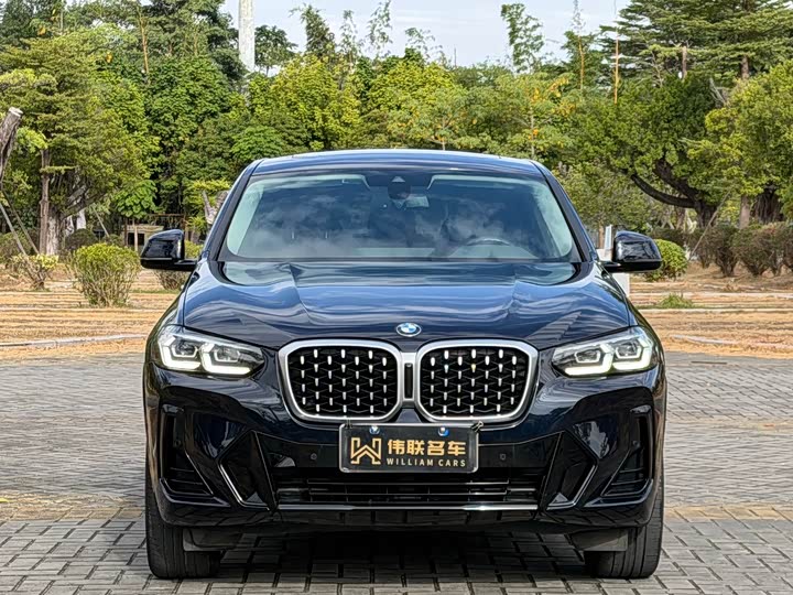 Фото 2 - BMW X4