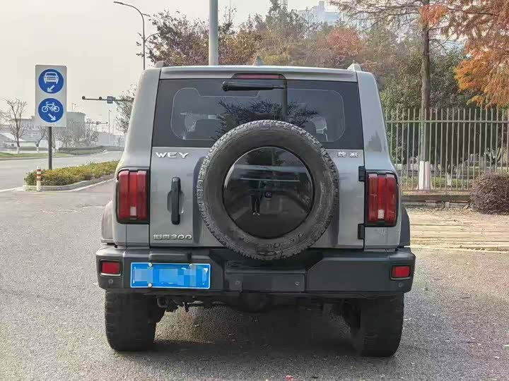 Фото 8 - Tank 300