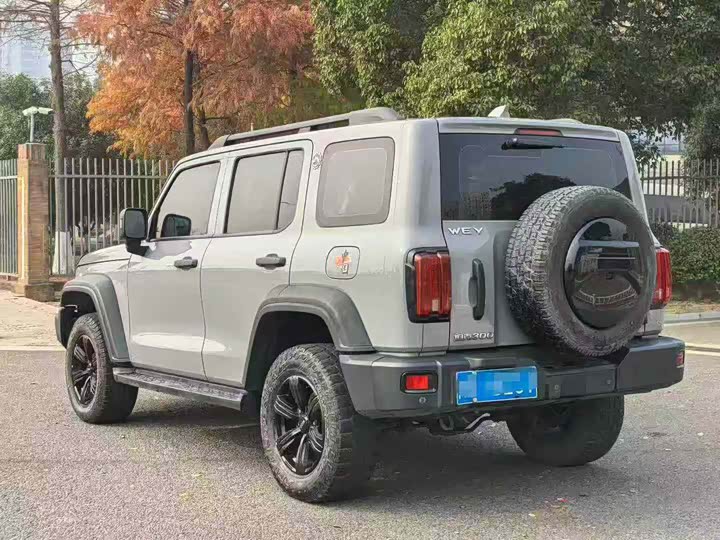 Фото 9 - Tank 300