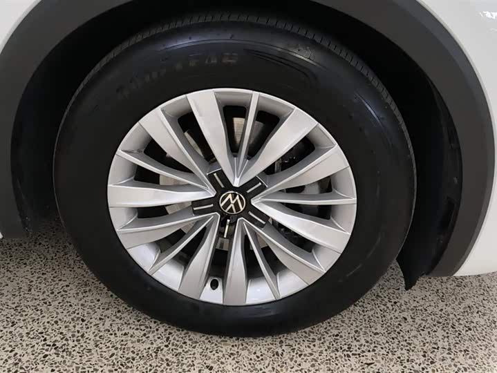 Фото 6 - Volkswagen Viloran