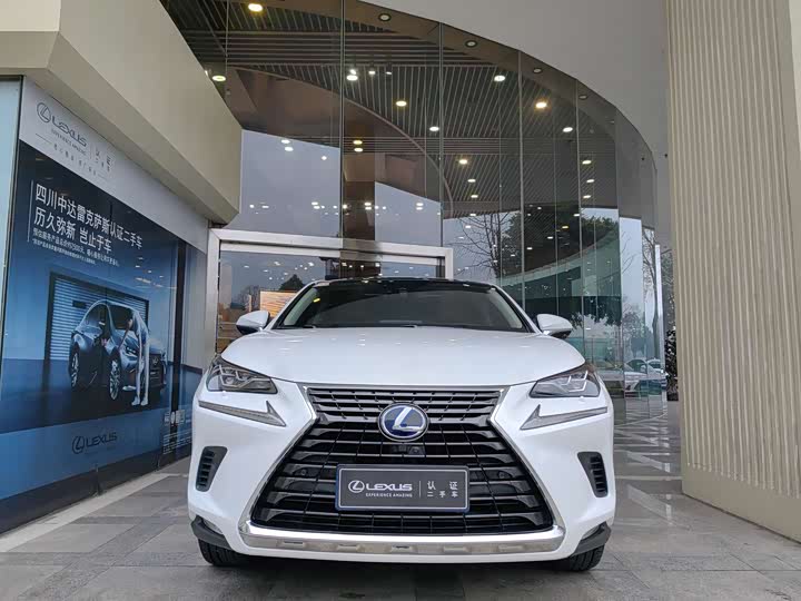 Фото 1 - Lexus NX