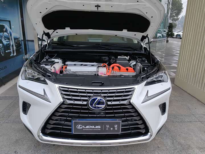 Фото 6 - Lexus NX