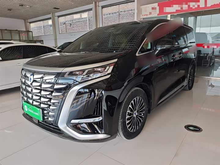 Фото 1 - Denza D9