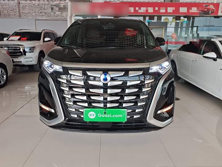 Фото 3 - Denza D9