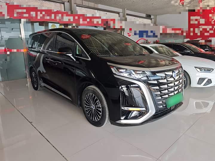 Фото 4 - Denza D9