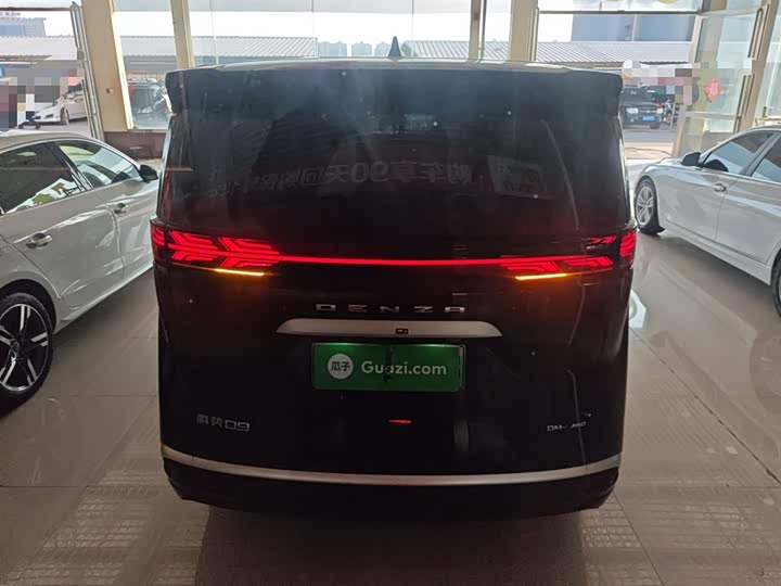 Фото 6 - Denza D9