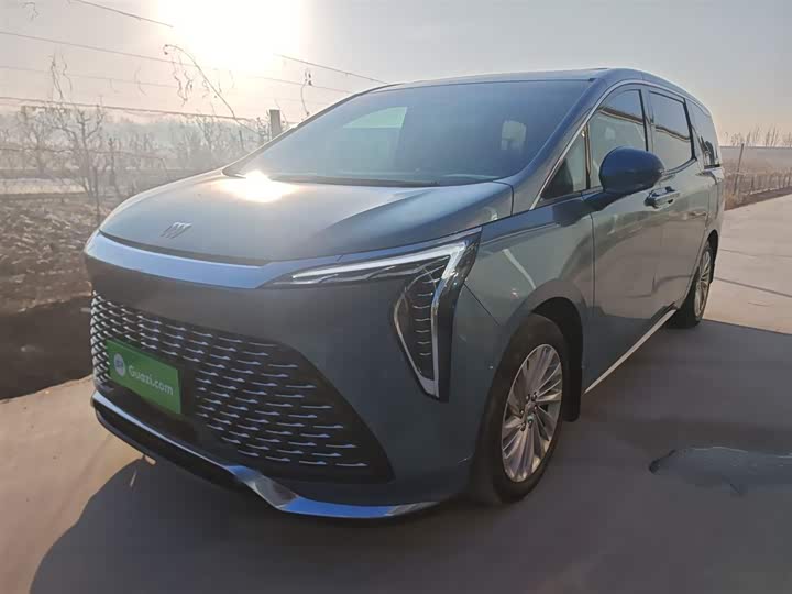 Фото 2 - Buick GL8 Century