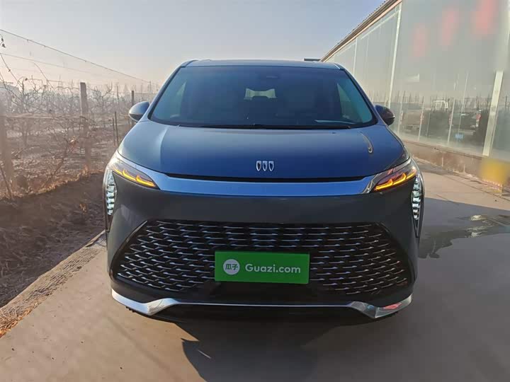 Фото 3 - Buick GL8 Century