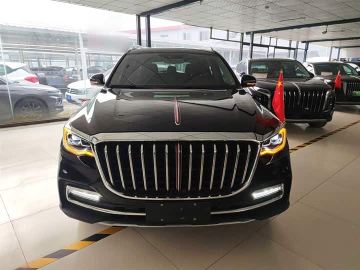 Фото 3 - Hongqi HS7
