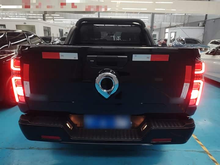 Фото 6 - Great Wall Pao