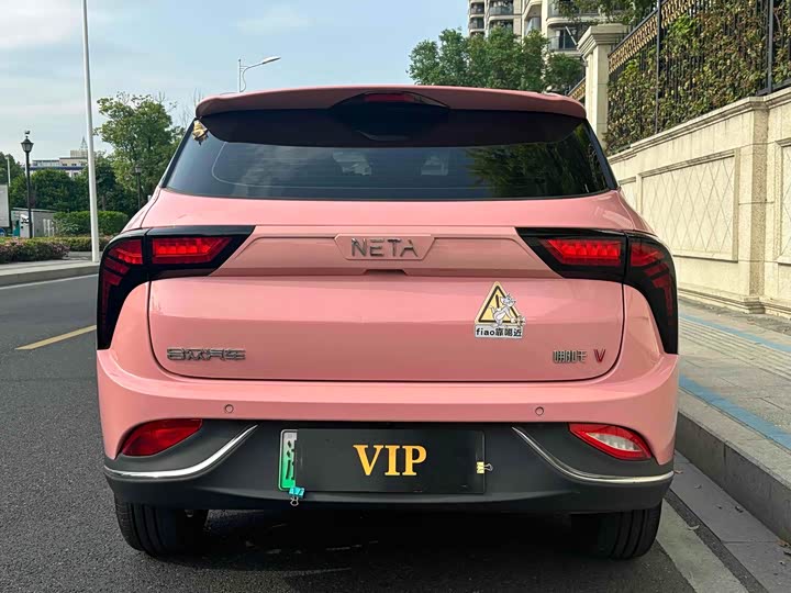 Фото 4 - Hozon V