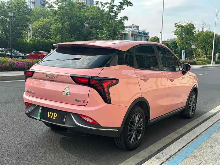 Фото 5 - Hozon V