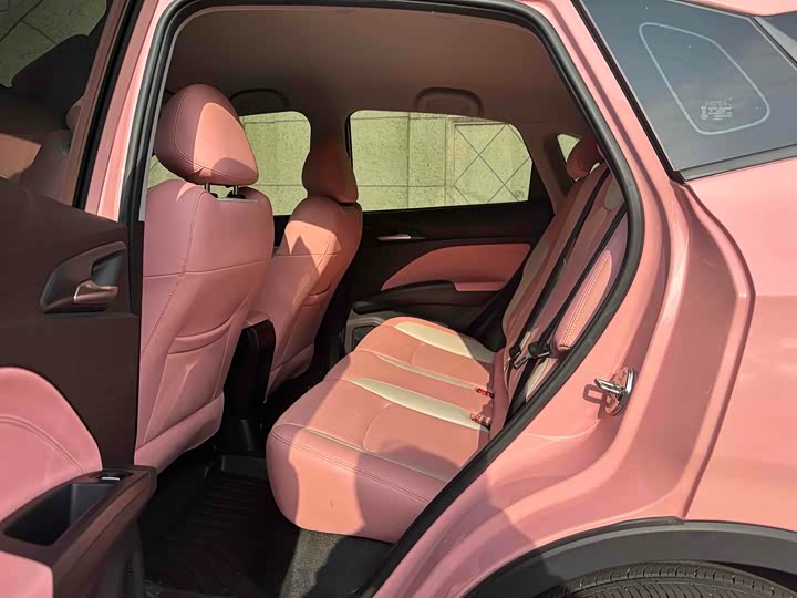 Фото 7 - Hozon V