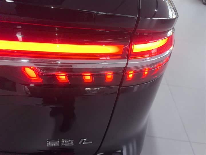 Фото 8 - Geely Monjaro