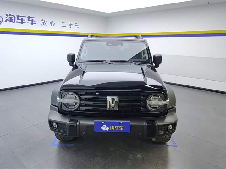 Фото 2 - Tank 300